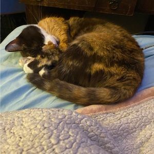 Meet your Posher, E m m a